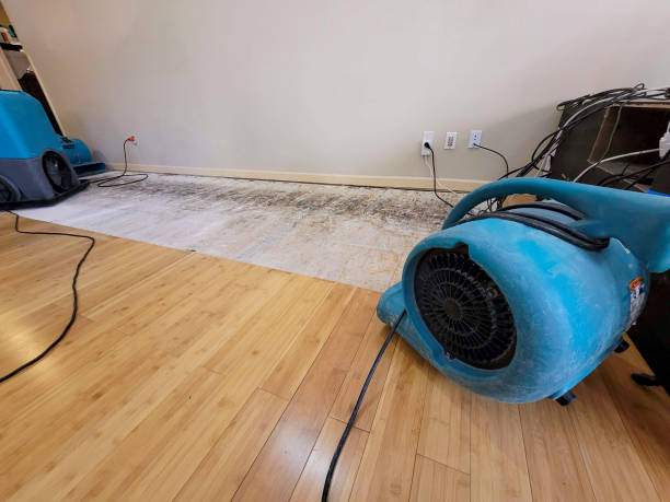 Professional Flood Damage Cleanup technician working in Whitewater, WI